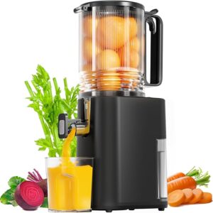 Best Cold Press Juicer