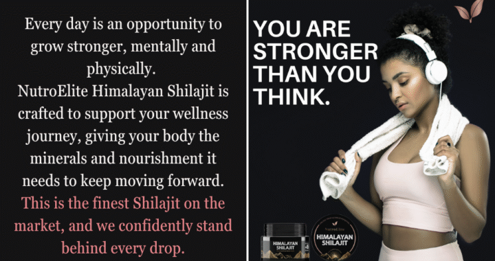 NutroElite Gold Grade Sundried Himalayan Shilajit