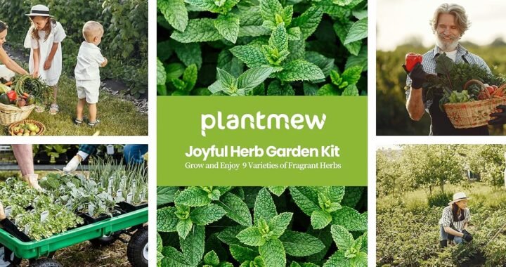 Top Amazon Product Review