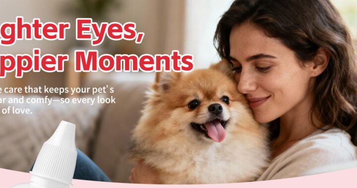 Cataract Eye Drops Dogs Preservative Free
