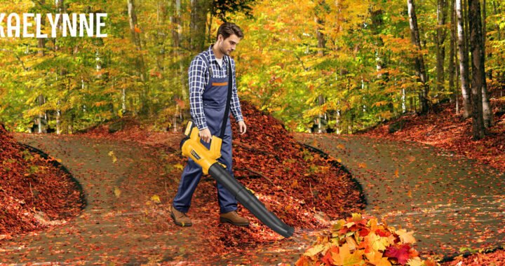 Leaf Blower Battery Rechargeable Powered