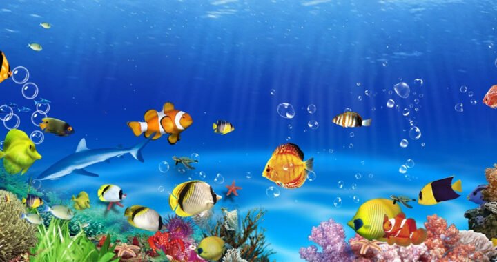 XIULIUU Submersible Biochemical Oxygenation Circulation