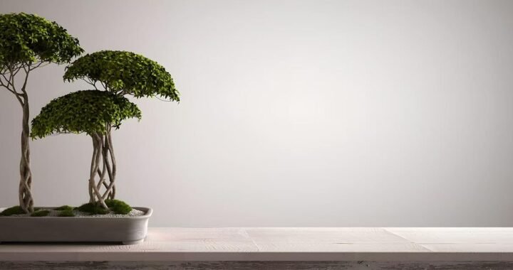 Bonsai Tree Kit Complete Gardening